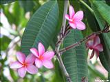 Parque de las Palomas - SAN JUAN